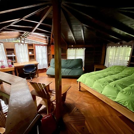Los Quetzales Ecolodge & Spa Cerro Punta Εξωτερικό φωτογραφία