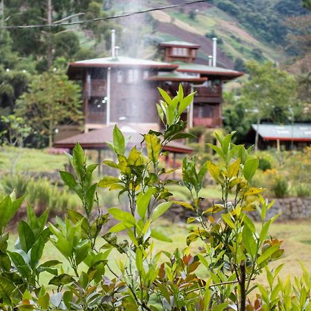 Los Quetzales Ecolodge & Spa Cerro Punta Εξωτερικό φωτογραφία