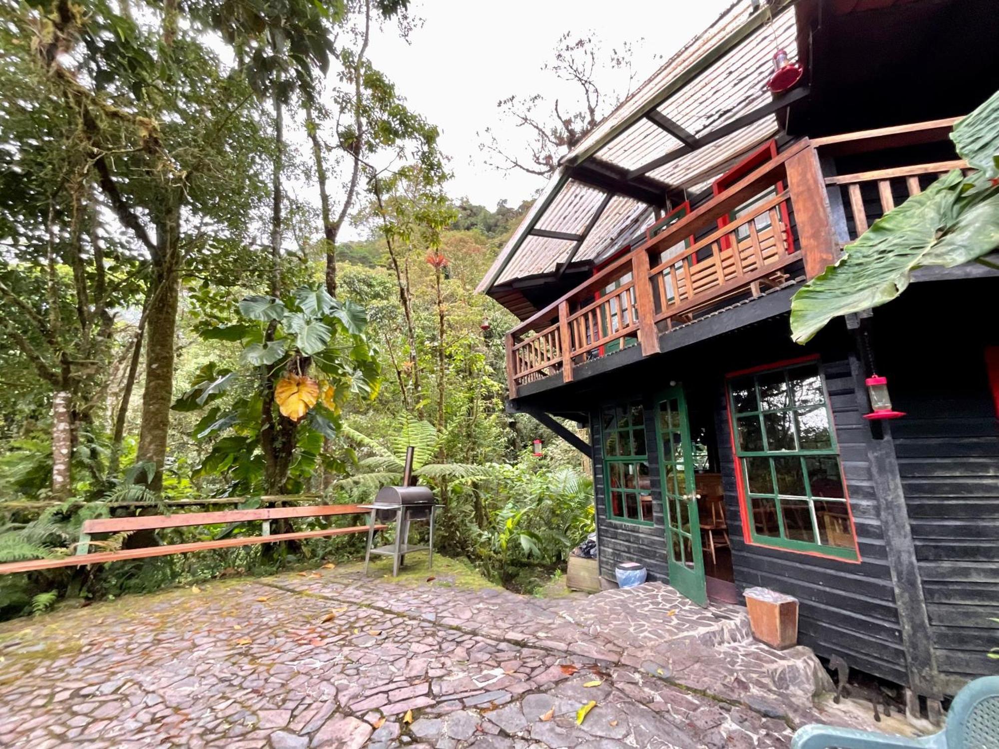 Los Quetzales Ecolodge & Spa Cerro Punta Εξωτερικό φωτογραφία