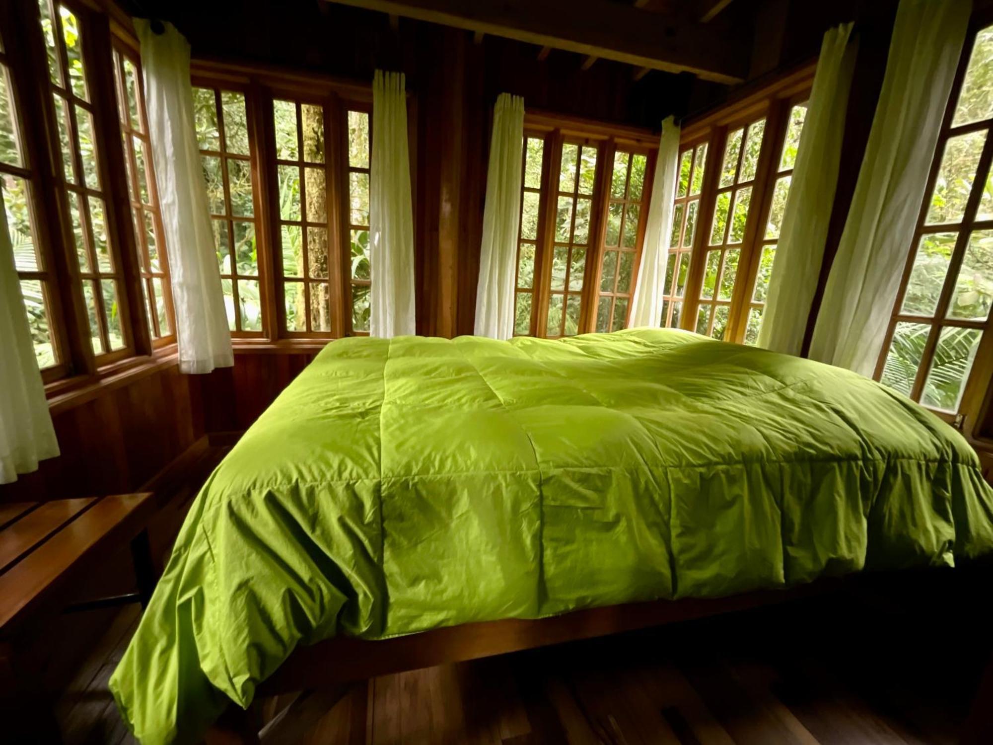Los Quetzales Ecolodge & Spa Cerro Punta Εξωτερικό φωτογραφία