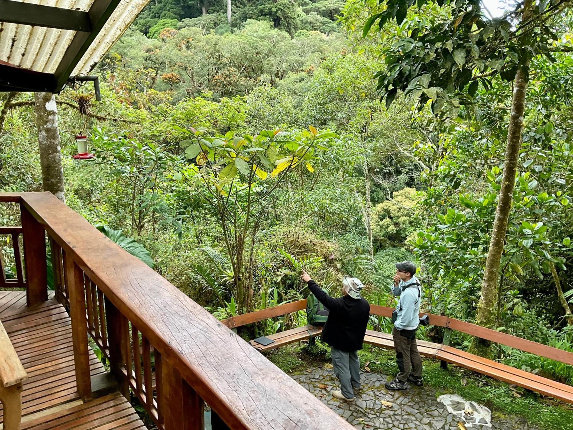 Los Quetzales Ecolodge & Spa Cerro Punta Εξωτερικό φωτογραφία