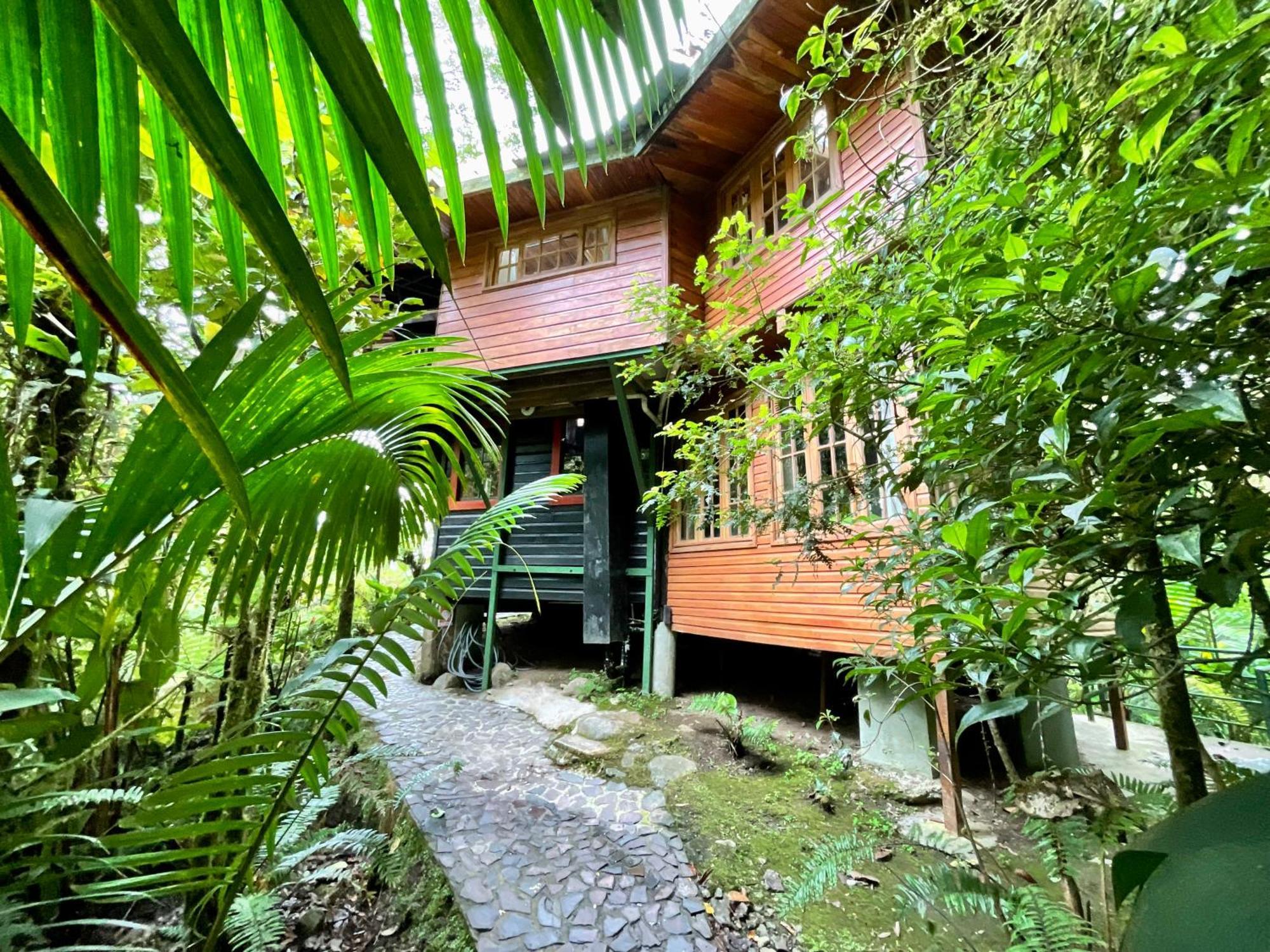 Los Quetzales Ecolodge & Spa Cerro Punta Εξωτερικό φωτογραφία