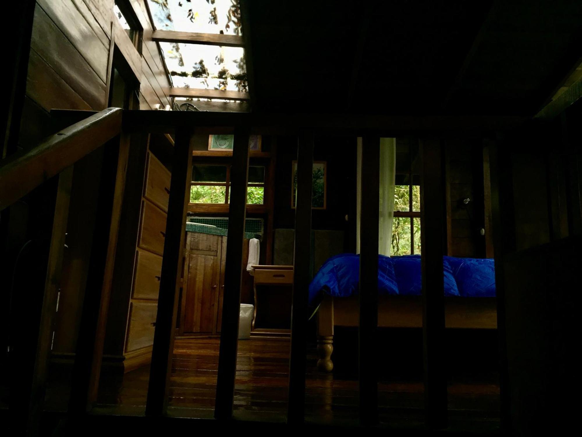 Los Quetzales Ecolodge & Spa Cerro Punta Εξωτερικό φωτογραφία
