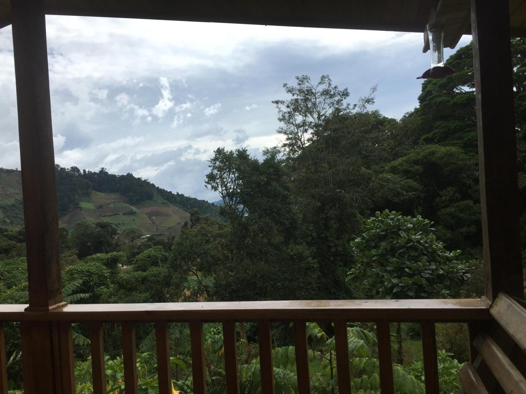Los Quetzales Ecolodge & Spa Cerro Punta Εξωτερικό φωτογραφία