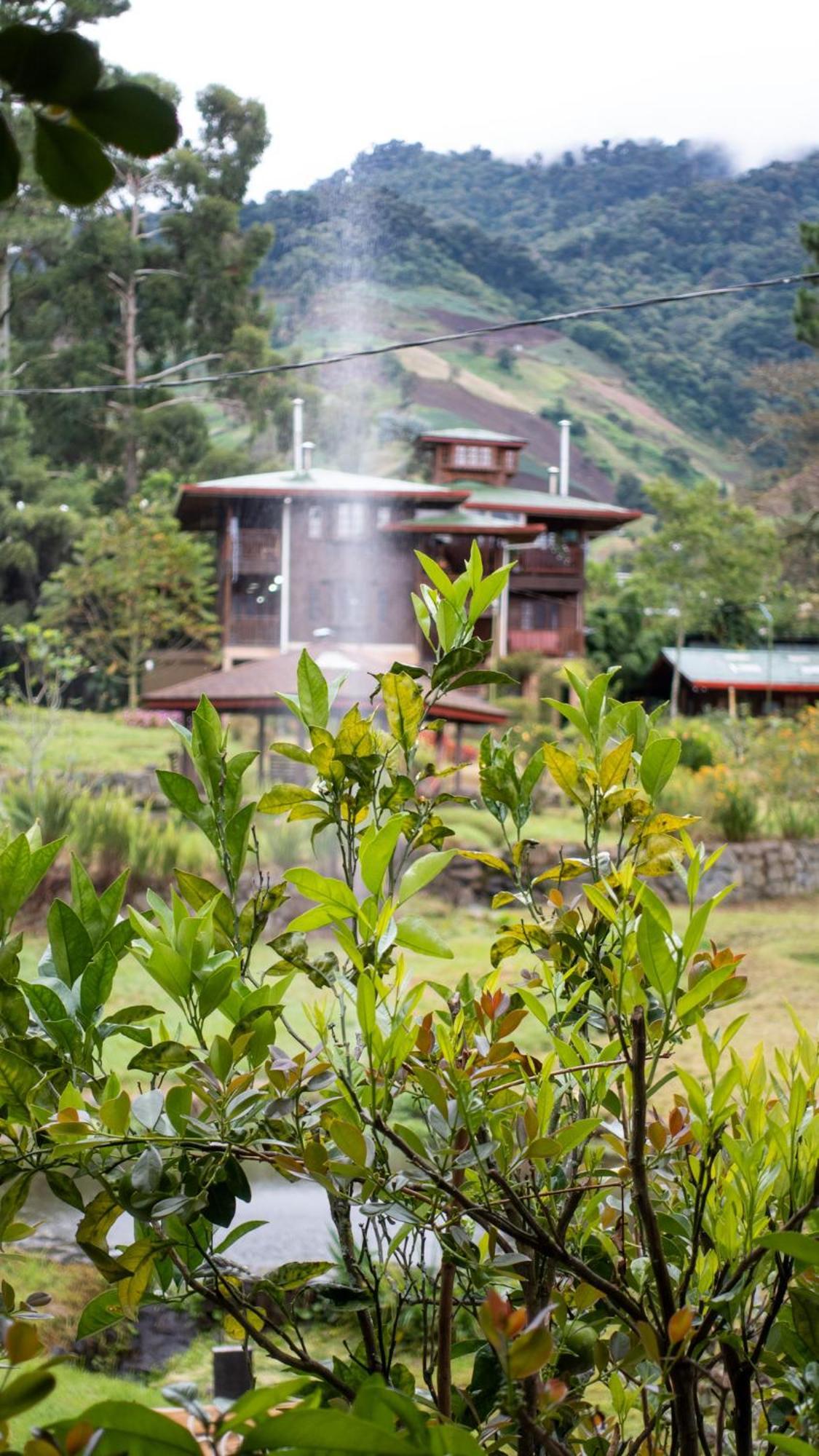 Los Quetzales Ecolodge & Spa Cerro Punta Εξωτερικό φωτογραφία