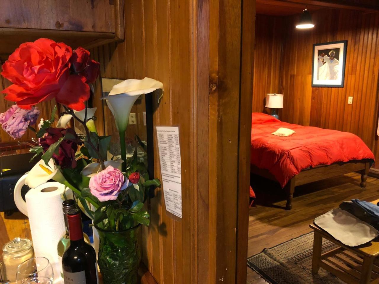 Los Quetzales Ecolodge & Spa Cerro Punta Εξωτερικό φωτογραφία
