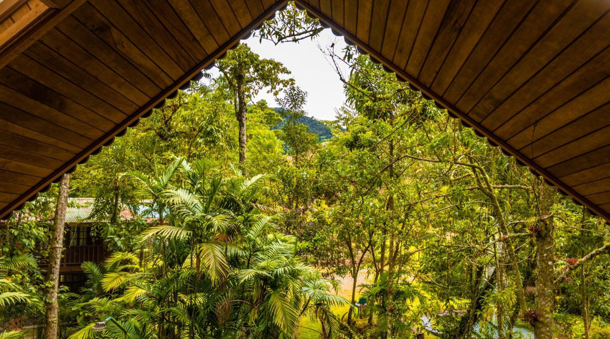 Los Quetzales Ecolodge & Spa Cerro Punta Εξωτερικό φωτογραφία