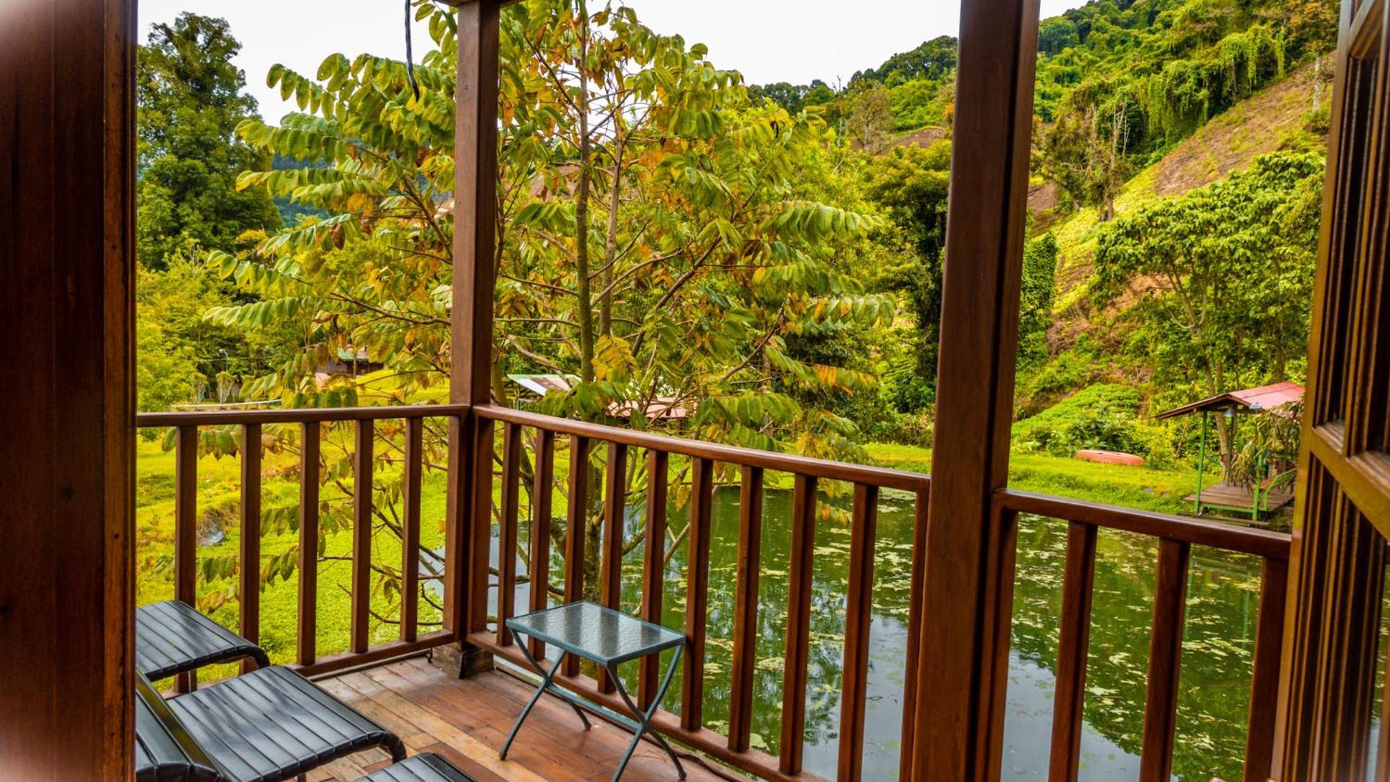 Los Quetzales Ecolodge & Spa Cerro Punta Εξωτερικό φωτογραφία