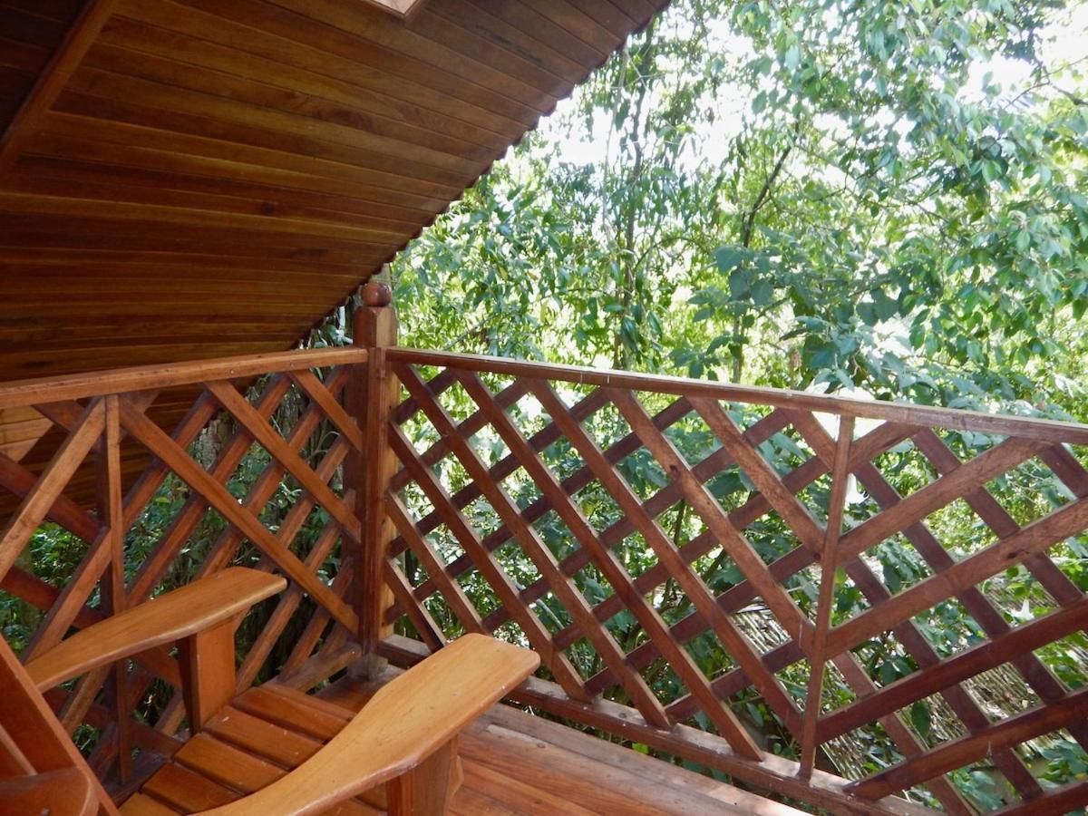 Los Quetzales Ecolodge & Spa Cerro Punta Εξωτερικό φωτογραφία